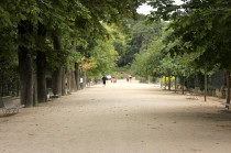 Le Jardin des Plantes de Paris malgré la pluie