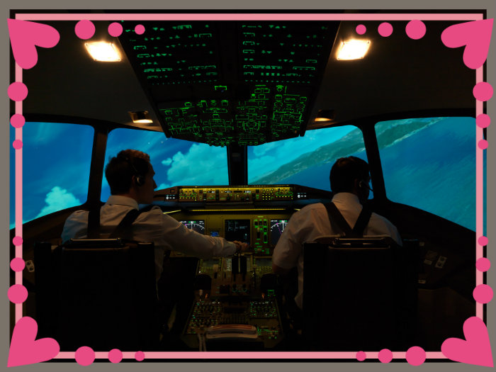 Flight-simulation