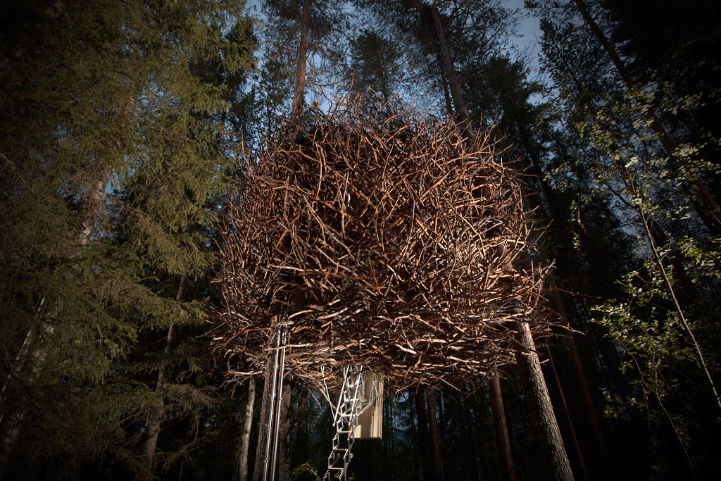 treehotel-birds_nest-1