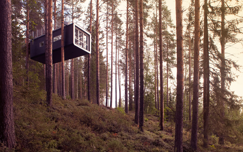 treehotel-cabin_1