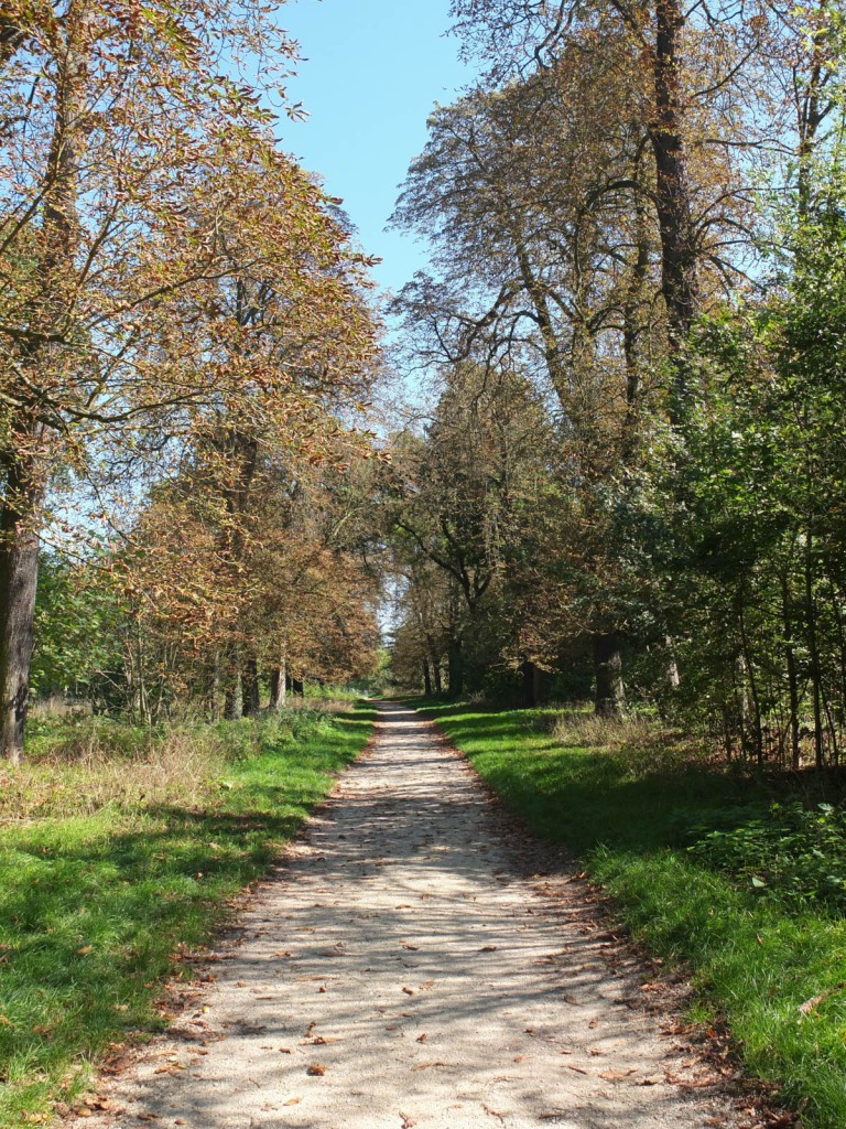 st-mande-automne_03