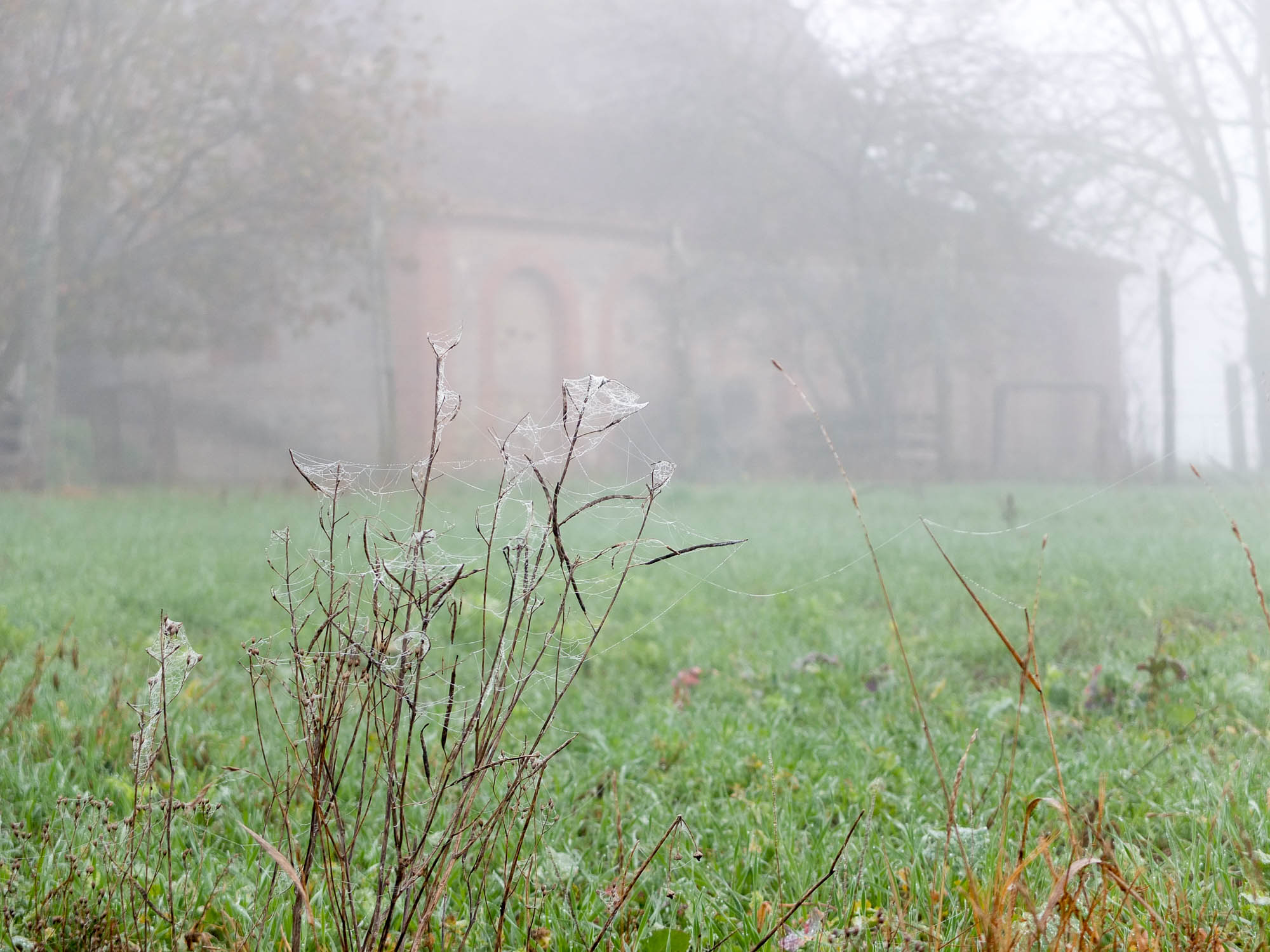 Le-Chaumont_2015-11_003