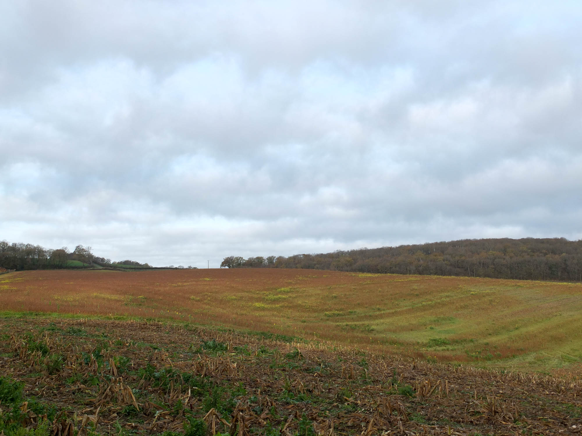 Le-Chaumont_2015-11_007