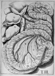 Anatomie. Gastroentérologie . 17e siècle, Bibliothèque numérique Médic@, BIU Santé.