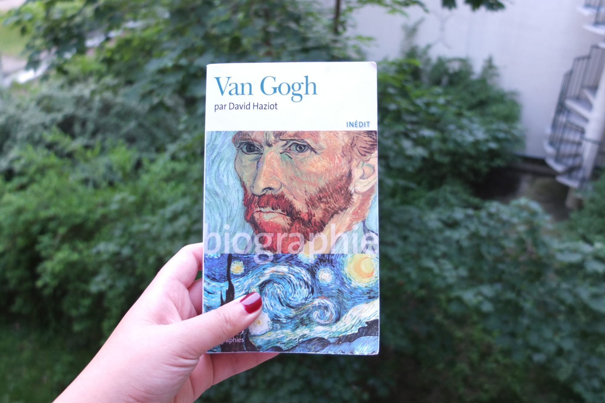 Van Gogh, une biographie écrite par David Haziot