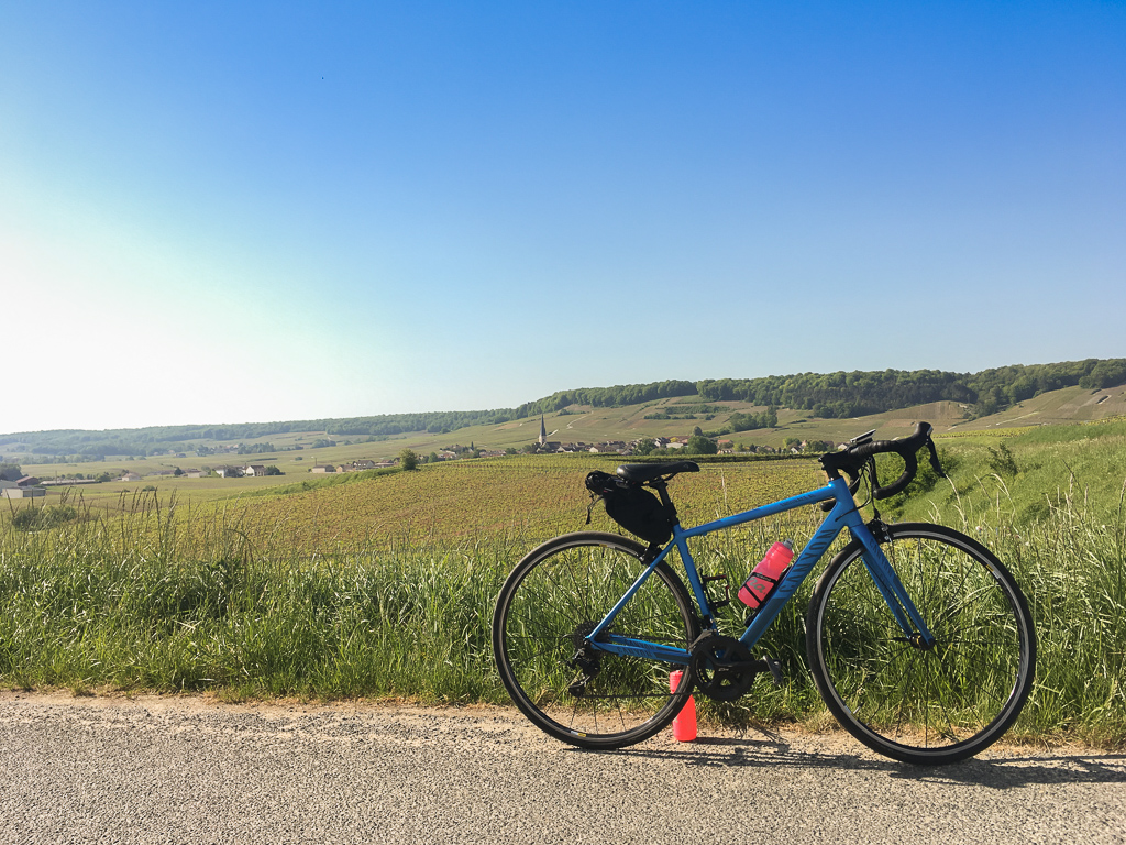 D26 : En vélo sur la Route Touristique du Champagne